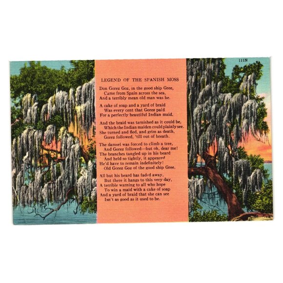 Vintage 1950s Legend Of The Spanish Moss Postcard - Picture 1 of 2